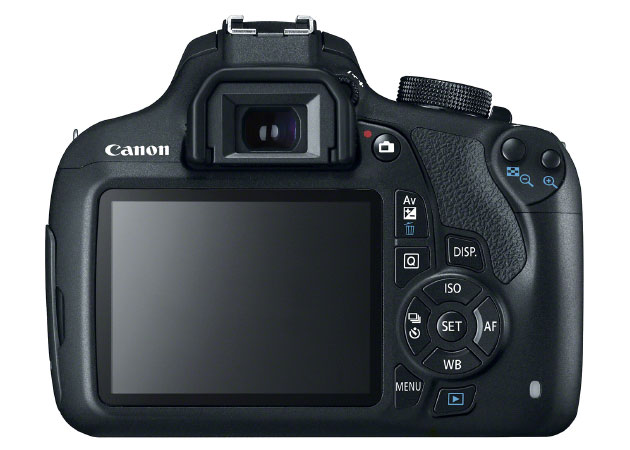 T5-back.jpg
