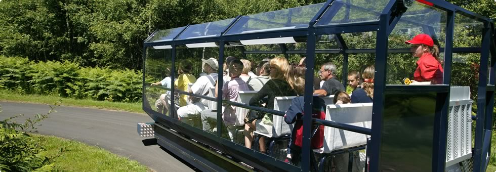citymobil2.jpg