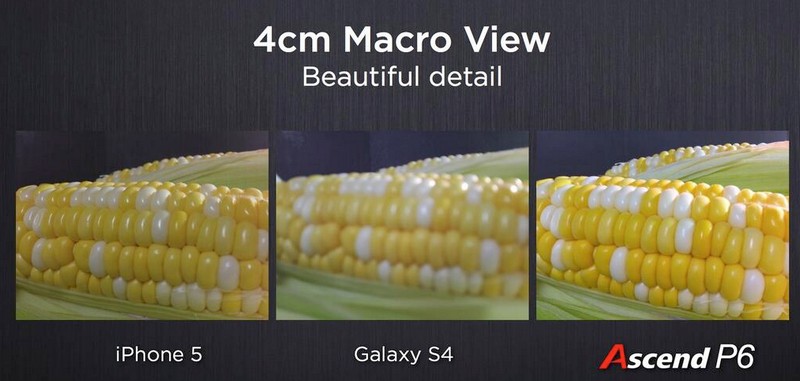 ascendp6macro.jpg