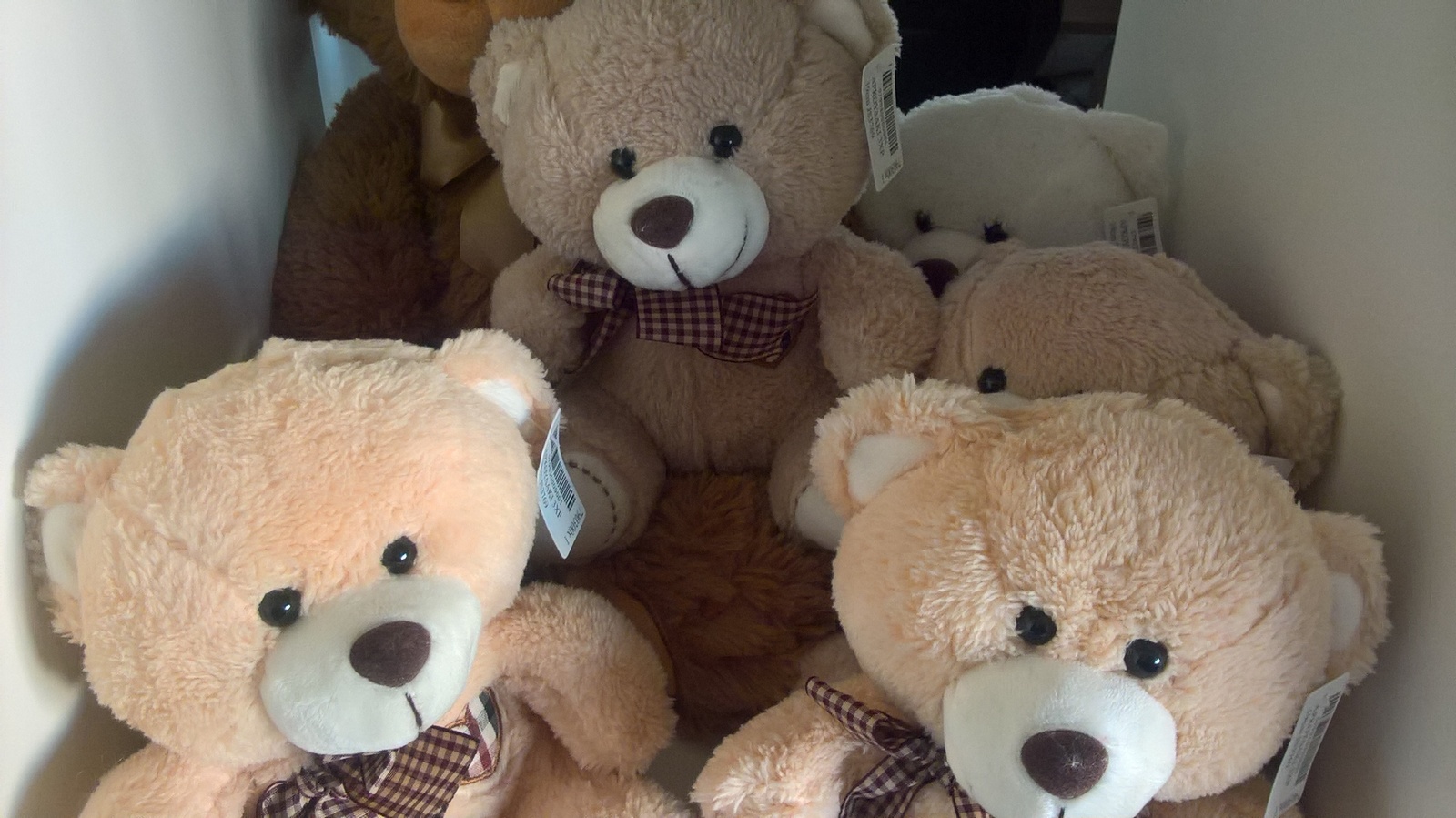 WP_20151224_14_31_34_Pro_LI.jpg