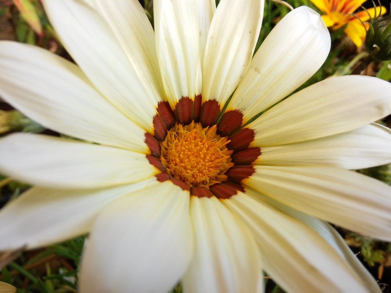 20140523_132732.jpg