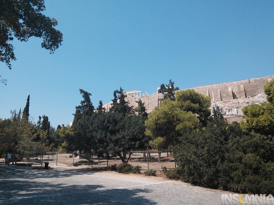 IMG_20130827_110817.jpg