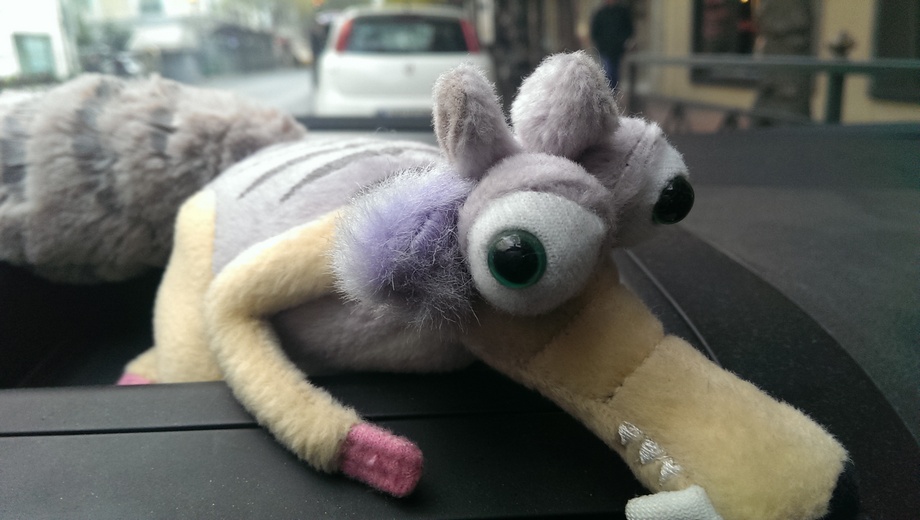 IMAG0006.jpg